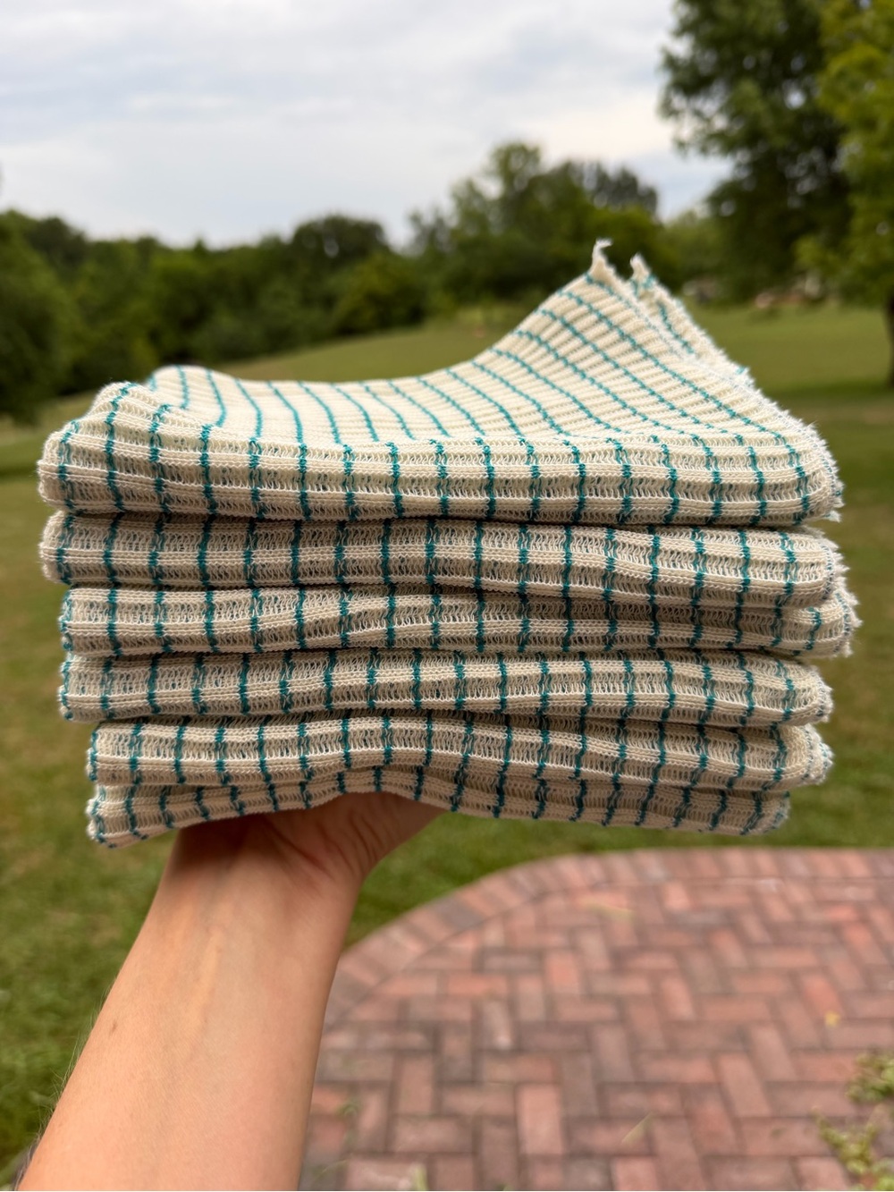 Amish Store Dishcloths- World’s Best Dishcloth!